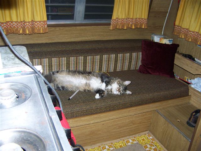 Cheyenne lounging in the 1973 Scotty Trailer while Jimmy works on guns.