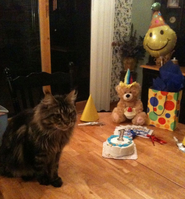 Cody at first birthday party.