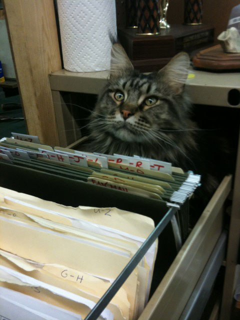 Cody working the file cabinet in January 2011.