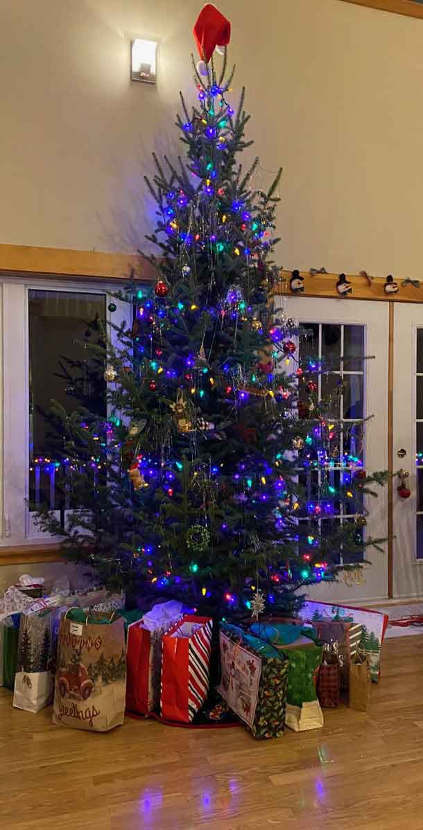 Jimmy's Christmas Tree